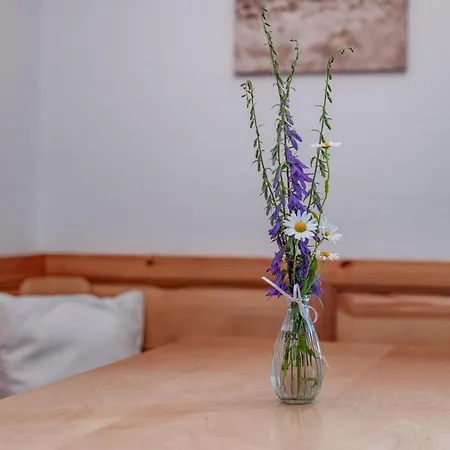 Alojamento de Turismo Rural Bauerborchardt - Urlaub Am Bauernhof Bei Familie Borchardt *