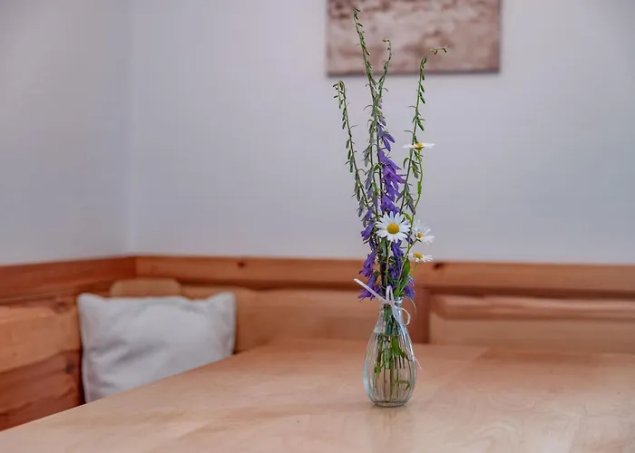 Séjour à la ferme Bauerborchardt - Urlaub Am Bauernhof Bei Familie Borchardt *